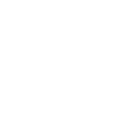 Gruvi AI